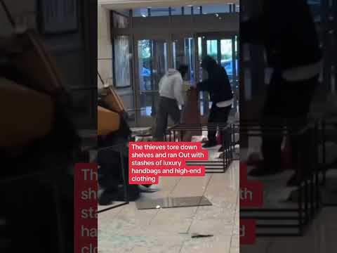 Dozens of looters ransack LA shopping centre
