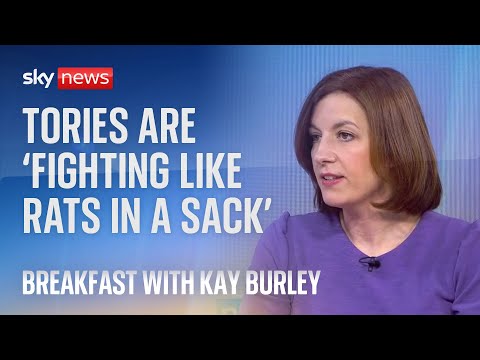 Tories 'fighting like rats in a sack' instead of fixing asylum system - Labour
