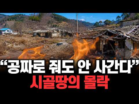 반값으로 폭락해도 아무도 안 사간다. 시골땅이 무너진 진짜 이유 | 떠먹여줌