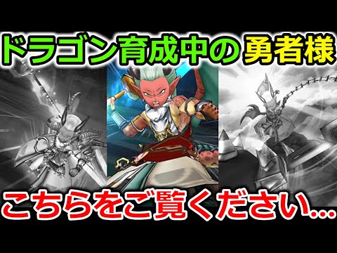 【ドラクエウォーク】ドラゴン育成中の勇者様へ...この職業色々ヤバいですｗｗｗｗ