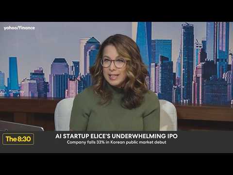 This AI company was profitable and still fell 32% on day one | The 8:30