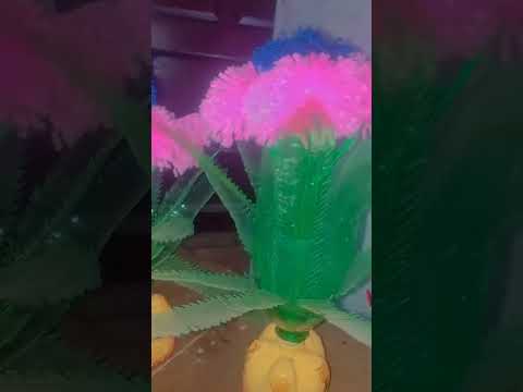 Dilbar Ki aankhon Ka #newsong #viralvideo #viwes10milionplace #song #youtubeshorts #trendingshorts