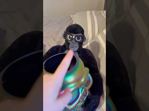 Hunting for a candy bucket