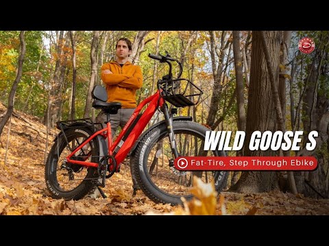 Wildgoose S | Fat-Tire Ebike