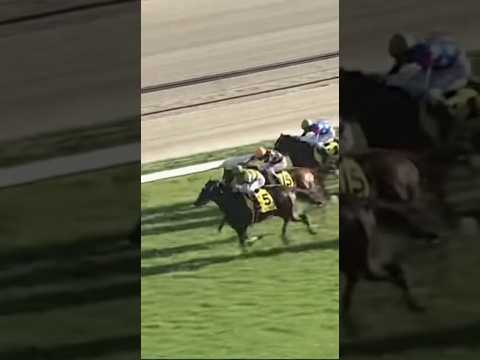 【大阪杯2026結果】#大阪杯 #競馬 #G1