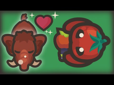 PLAYING WITH VIEWERS TAMING.IO