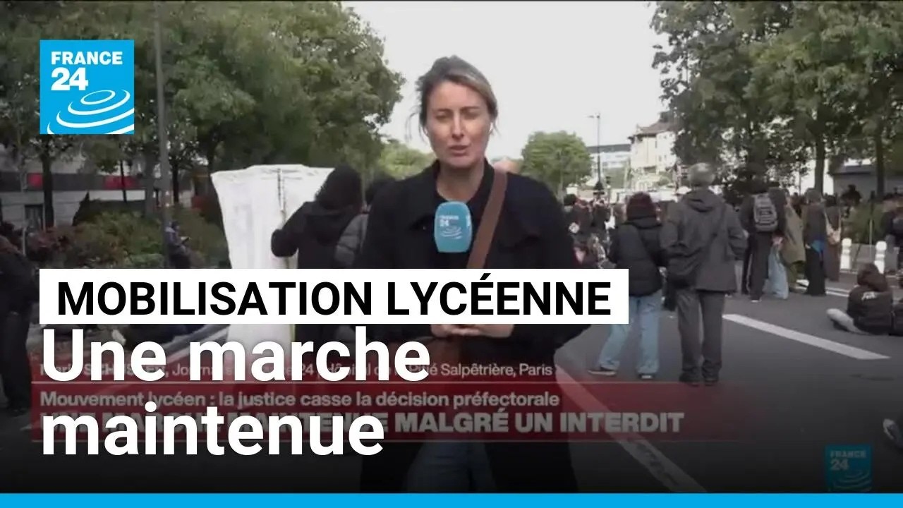 Mobilisation lycéenne : la marche maintenue après la levée de l’interdiction • FRANCE 24