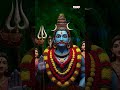Meluko Mallanna || Musti Mamatha || Gogu Akhileshwar || #DevotionalSongs #BhaktiSongs #Shorts