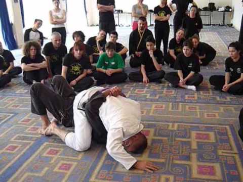 Martial Arts Seminar 2013