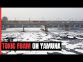 Toxic Foam Floats Near Yamuna River Bank In Delhi