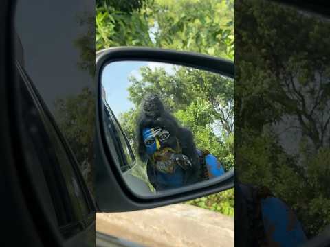 Meri gadi mera bangala❤️ #bholenath #mahadev #shreeram #shorts #hanuman #ketul #trending #song