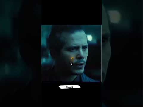 لقد قتلت كلبه؟