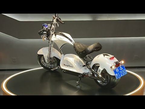 Rooder mangosteen electric motorcycle scooter wholesale price