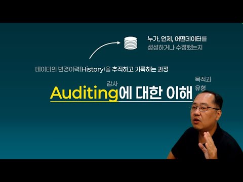 auditing에 대한 이해