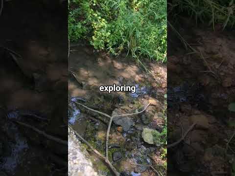 nature ❤️ #exploring #naturelovers #nature #outdoors #hobbit