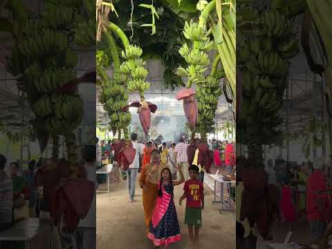 இந்த புரட்டாசிக்கு ஸ்ரீ திருவேங்கடப் பெருமாள் கோயில் visit பண்ணிங்களா? #shorts #tirupati #perumal