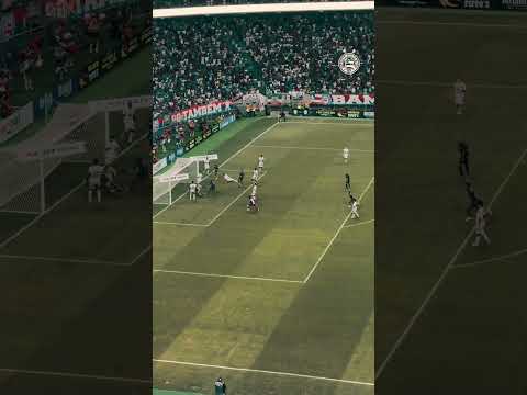 image para ilustrar o artigo