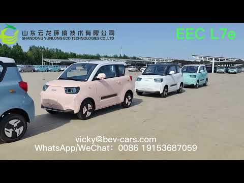 4 wheels electric car electric vehicle Panda from Yunlong Motors high speed