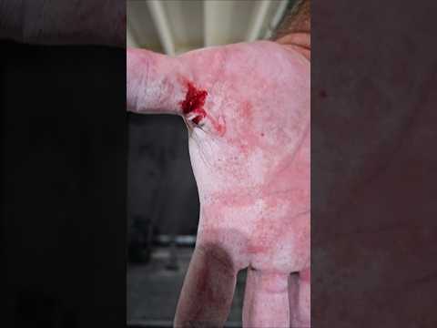 Big Bench & Blob Breakthroughs - Brutal Grip Strength Training 💪