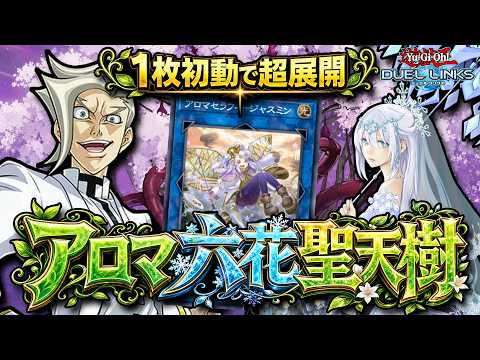 【LP8100】ジャスミン実装で芸術的ソリティアが可能に!!『アロマ六花聖天樹』【琴葉姉妹のリンクス実況】