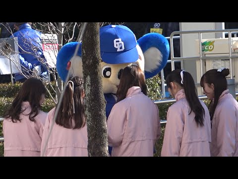 チアドラとお喋りしてるドアラ (2025/03/09)