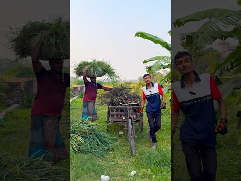 টাকা হলেই পূরণ হবে মনের যত আশা!😅 #reels #thoughts #shorts #ytshorts #viral #trending #shortsfeed