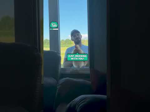 Chicken at the window 🐓