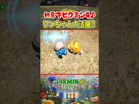 thumbnail_Pr8izI8Kb5U
