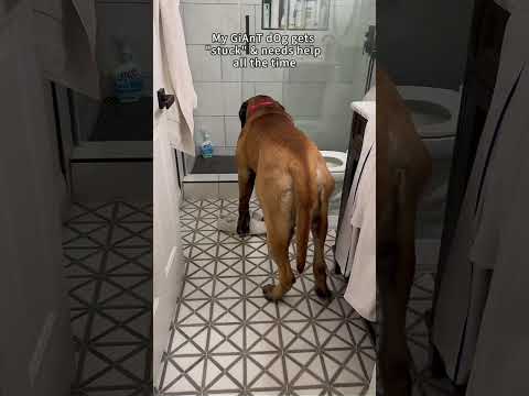 Phillies land All-Star closer Jhoan Duran ahead of MLB trade deadline 👀🔥 #JhoanDuran