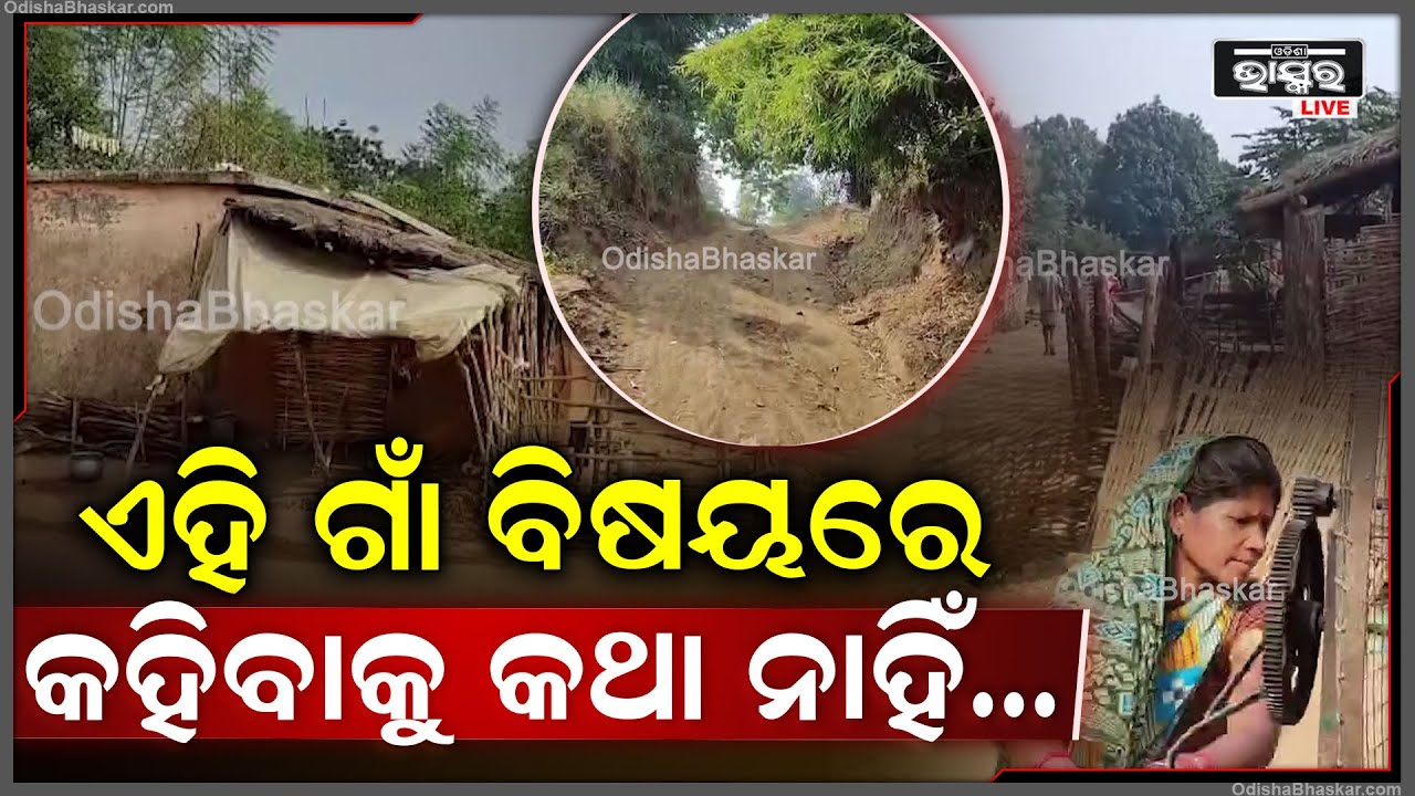 ଏମିତି ଏକ ଗାଁ ଯାହା ବିଷୟରେ କହିବାକୁ କଥା ନାହିଁ, ସରକାରୀ ଯୋଜନା ପାଲଟିଛି ସାତ ସପନ Palasapadar