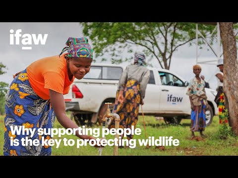 Community engagement protects wildlife in Zimbabwe