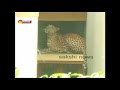 Leopard strays into Jaipur residential area