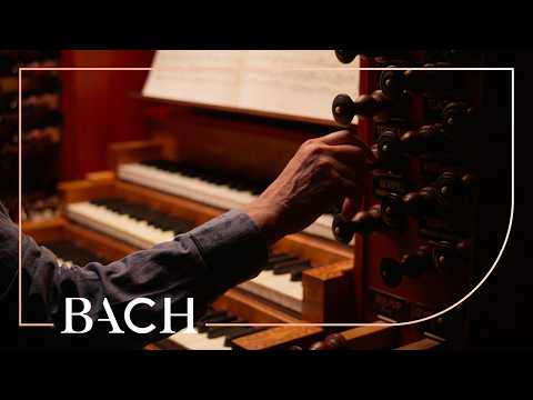 Bach - Liebster Jesu, wir sind hier BWV 634 - Leo van Doeselaar | Netherlands Bach Society