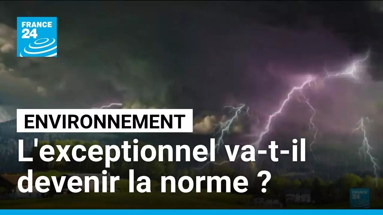 Canicules, incendies, grêle... L'exceptionnel va-t-il devenir la norme ? • FRANCE 24