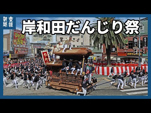 勇壮！４トンを引き回す「岸和田だんじり祭」