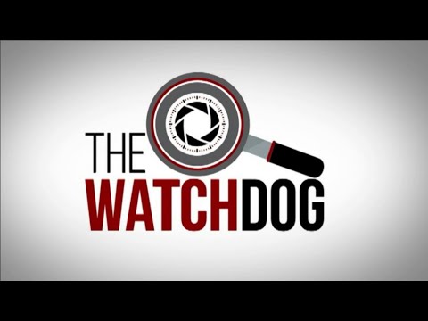 The Watchdog: 25 March 2022