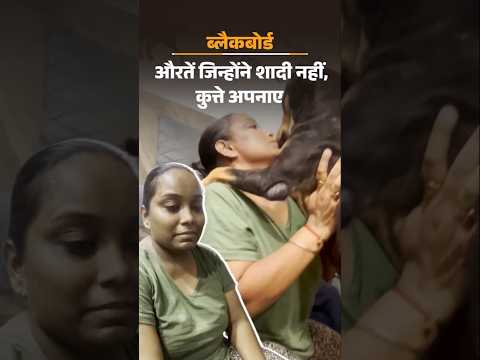 Street Dogs : मंगेतर ने कुत्तों का खर्च रोका तो सगाई तोड़ दी, लोग तंज कसते-शादी करके क्या करोगी