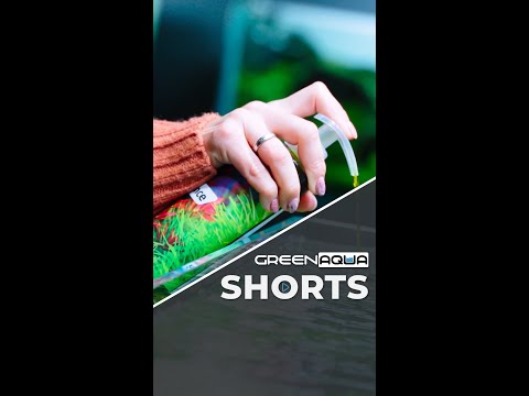 The perfect 𝒃𝒂𝒍𝒂𝒏𝒄𝒆, when it  #greenaqua #aquascaping #aquascape #plantedtank #amazingnature #shortsvideo #fish #shortvideo #plant