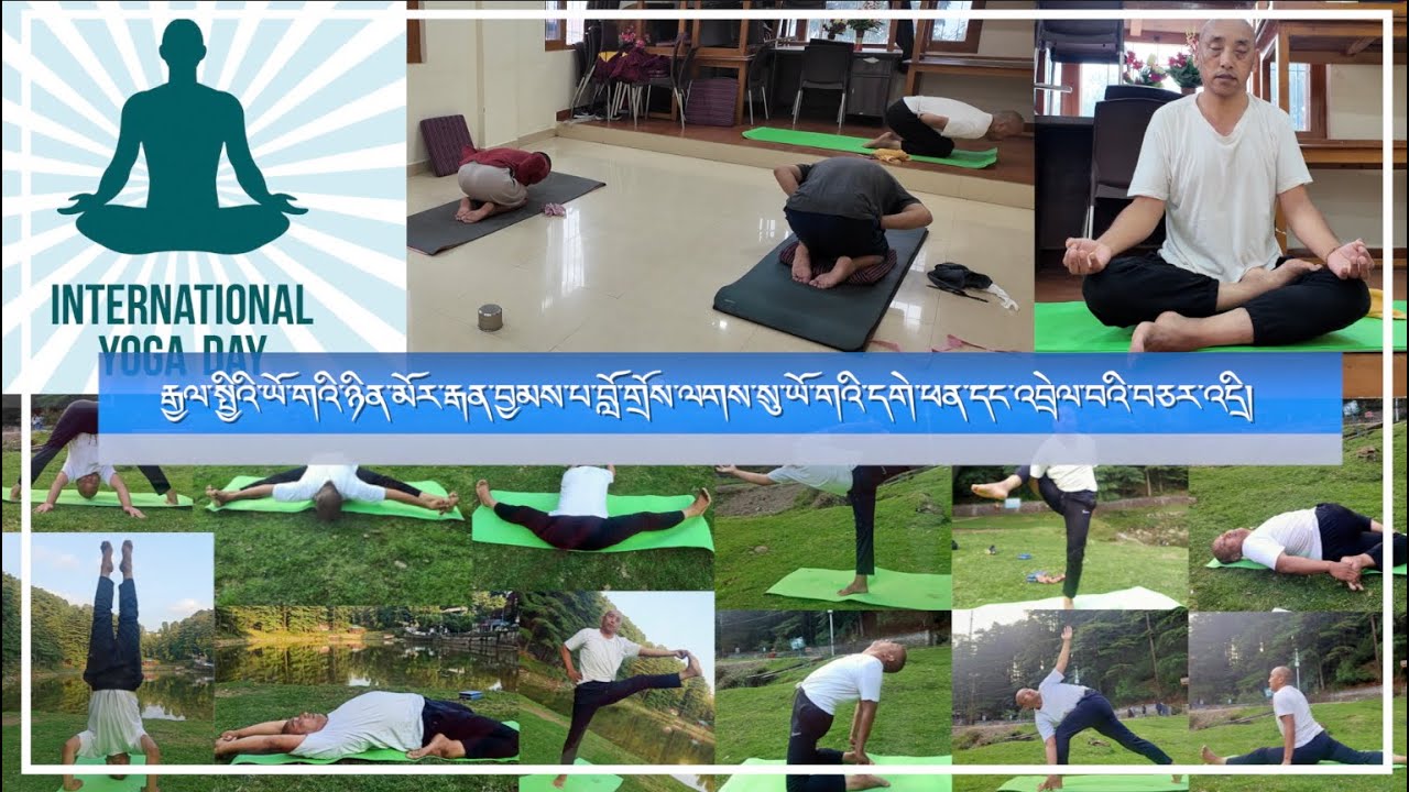 རྒྱལ་སྤྱིའི་ཡོ་གའི་ཉིན་མོར་རྒན་བློ་གྲོས་བྱམས་པ་ལགས་སུ་ཡོ་གའི་དགེ་ཕན་དང་འབྲེལ་བའི་བཅར་འདྲི།