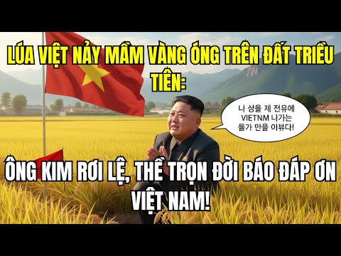 LÚA VIỆT NẢY MẦM VÀNG ÓNG TRÊN ĐẤT TRIỀU TIÊN: ÔNG KIM RƠI LỆ, THỀ TRỌN ĐỜI BÁO ĐÁP ƠN VIỆT NAM!
