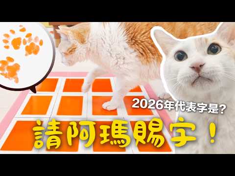 【黃阿瑪的後宮生活】請阿瑪賜字！2026年代表字是？