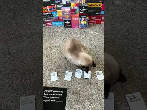 Cards Against Humanity