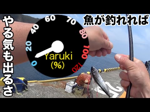 伊豆大島でグデグデ堤防巡りの旅