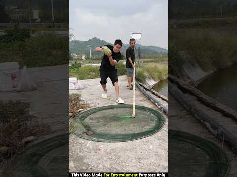 बुड्ढे ने पकड़ी तरबूज से मछलीयां 🥵😱 #shortsfeed #part2 #shortvideo #fishing #fishingvideo #shorts