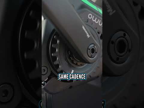 New Motor From E2 Has A Ton Of Customizable Settings!