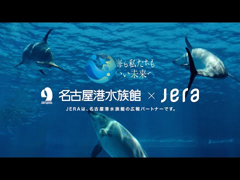 猫の動画サムネイル - 名古屋港水族館×JERA 共に海を想う篇 15秒