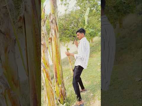 জিম করার পরে যা হয় #funny