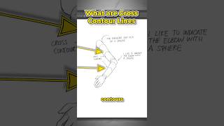 What are Cross Contour Lines