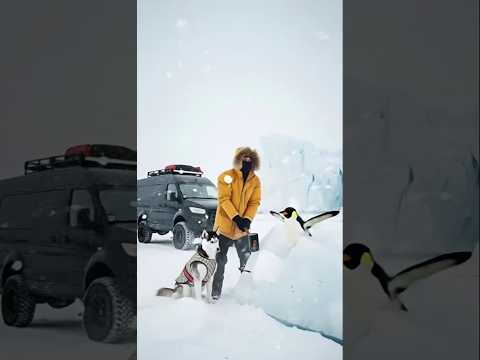 Man Saved Penguin from Iceberg