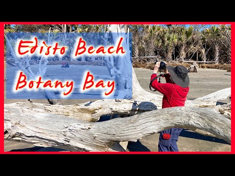 A Look at Edisto Beach and Botany Bay in March!